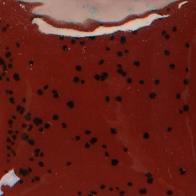 CN524 斑點石楠木色 1