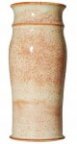 Laguna RG-1 Mushroom Cone 5 Glaze RG-1 蘑菇白