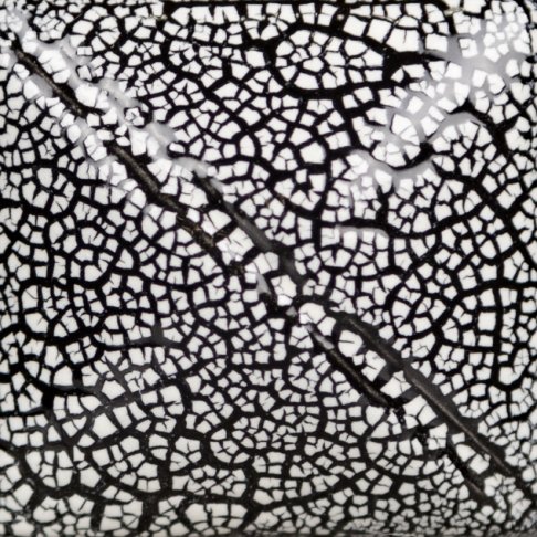 Mayco Cobblestone Glaze - SG-202 White Cobblestone白色鵝卵石色釉 (4oz) 2