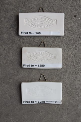 Clayworks Southern Ice Porcelain Clay 澳洲白瓷泥 (10kg)